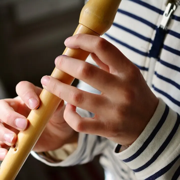 clases de flauta dulce en santo domingo